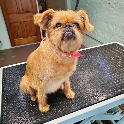 Barkhaven LLC - Thumbnail