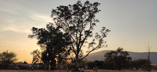 Ex Hacienda de San Jacinto - Thumbnail