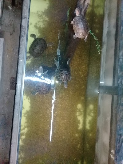 Photos of Caja de Agua