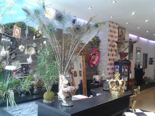 Photo n°1 de Blitz à Paris (Salon de coiffure)