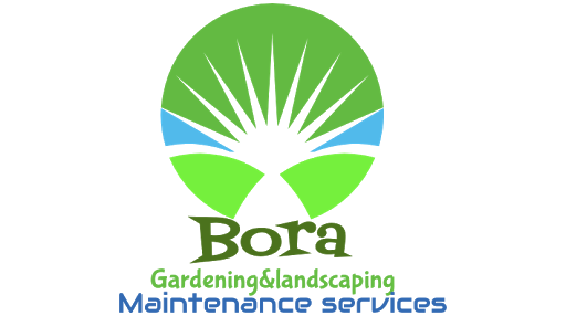 Bora Ltd - Visual