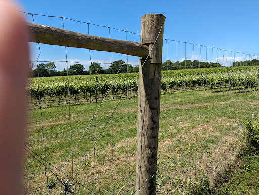 Hidden Spring Vineyard - Visual