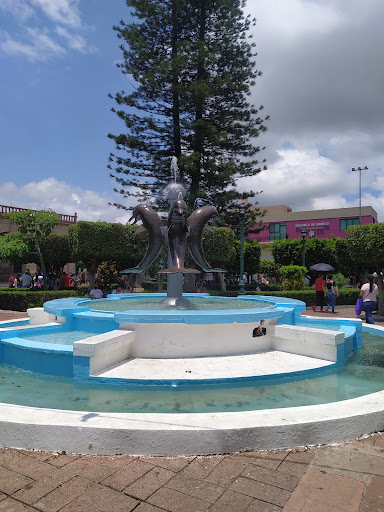Fuente Los 3 Delfines Gallery - Mexico