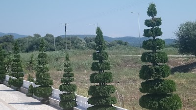 Photos of Gogas Palace