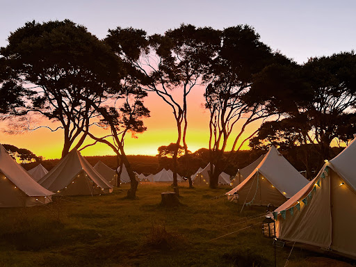 CampLight - Thumbnail