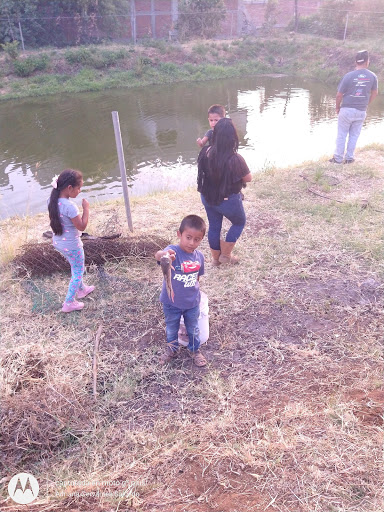 Rancho la aurora - Thumbnail