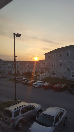 Lenape Property Management - Thumbnail