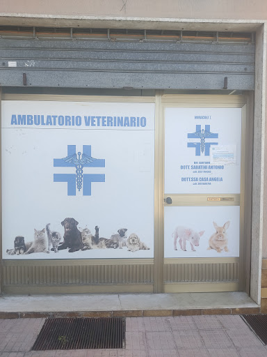 Ambulatorio veterinario Dr. Sabatini Antonio - Thumbnail