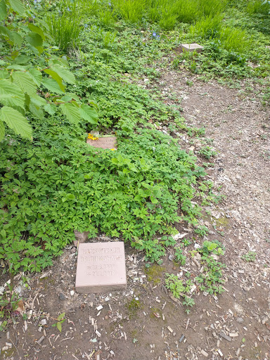 Neuer Friedhof Büchenbronn - Thumbnail
