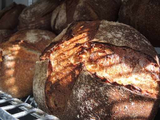 WildFire Bread - Visual