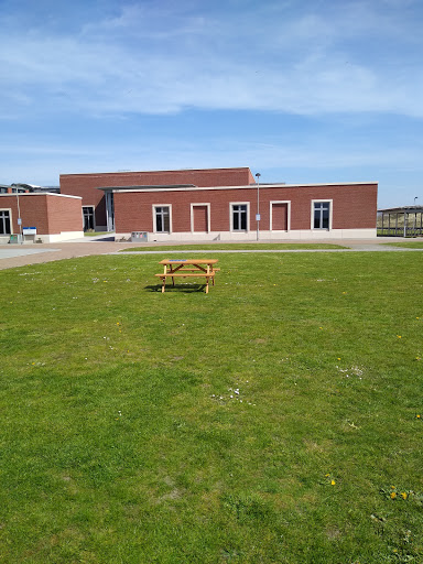 Bay Library - Visual