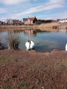 Village Quarter Ecology Park bristol