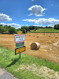 Photo n°6 de Domaine Les Voisins à Montaigu-le-Blin (Terrain pour camping-cars)