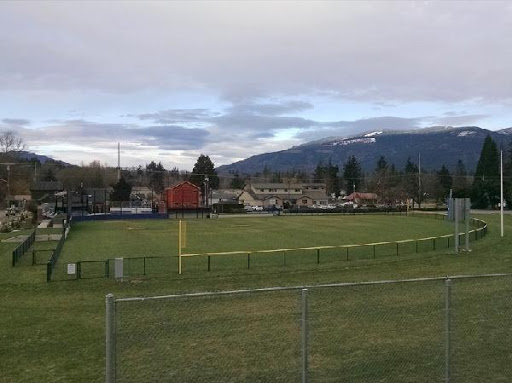 Tesarik Field - Visual