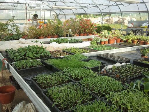 Agrocampus La Germinière / Cfa - Thumbnail