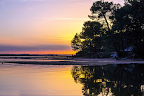 Home 40 à Sanguinet