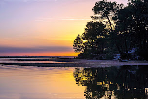 Photo n°1 de Home 40 à Sanguinet (Agence immobilière)