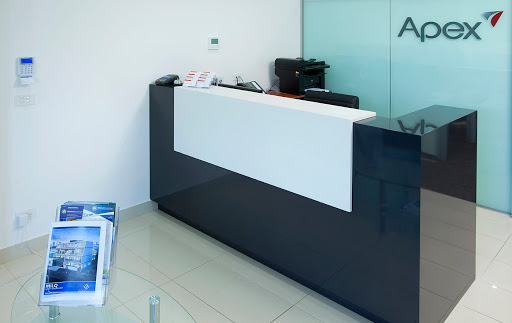 Apex Accounting Solutions Logo
