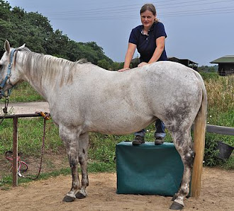 Bild: Tierarztpraxis Dr. Heike Hübner Vom Inhaber