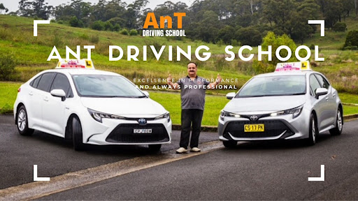 Ant Driving School - Thumbnail