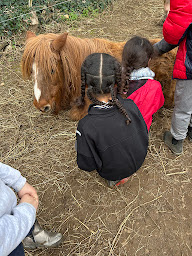 Photo n°12 de Poney Club de Bel Air à Salon-de-Provence (Centre équestre)