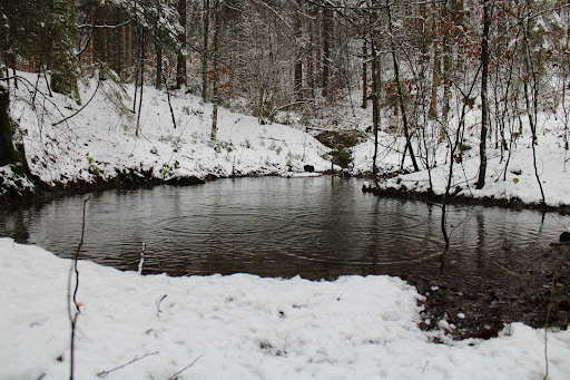 Wanderweg Roßthal - Thumbnail