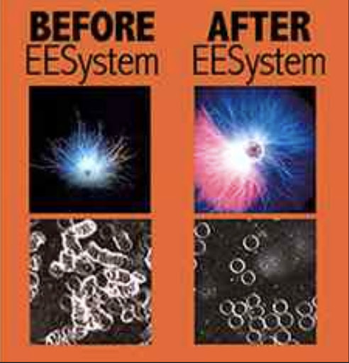 Dynamic Health Technologies