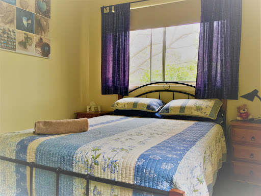 Hunter Valley Farmstay and Transport Services - Thumbnail