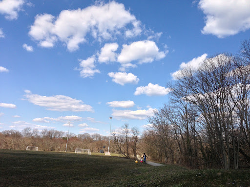 Crows Woods Fields - Visual