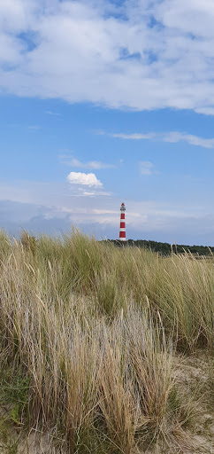 Kampeerboerderij Halfweg - Thumbnail