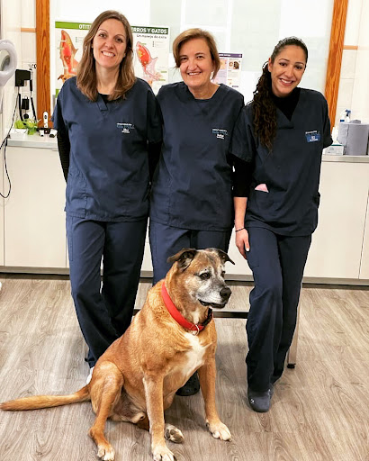 Clínica Veterinaria Es Pla - Porreres