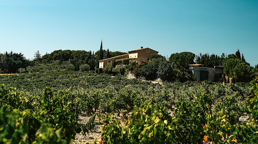 Photo de Les Gîtes du Patio à Cairanne (84290)