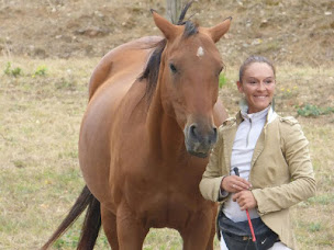 Photo n°19 de Le cheval par Nature à Montirat (Ferme d'élevage)