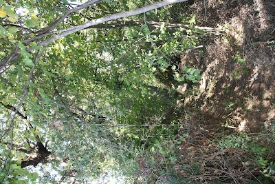 Valley Poligoni-Shkalleza