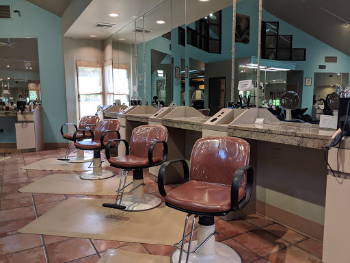 Zee's Salon - Visual