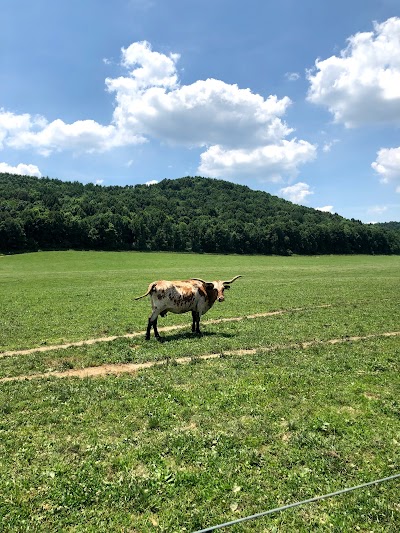 The Spotted Horse Ranch