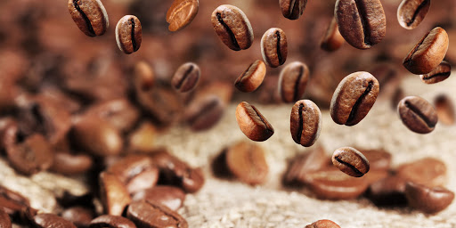Café Zenja - Thumbnail