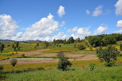 Photos of Daw Tin San