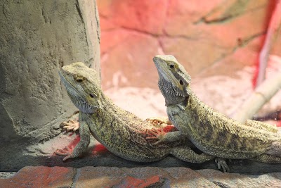 Aquarium Of Boise