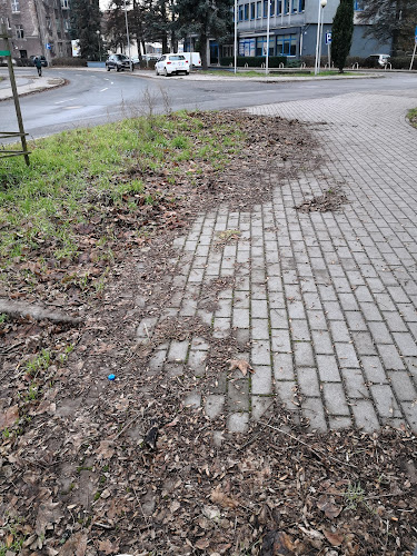 http://www.zgk.net.pl/