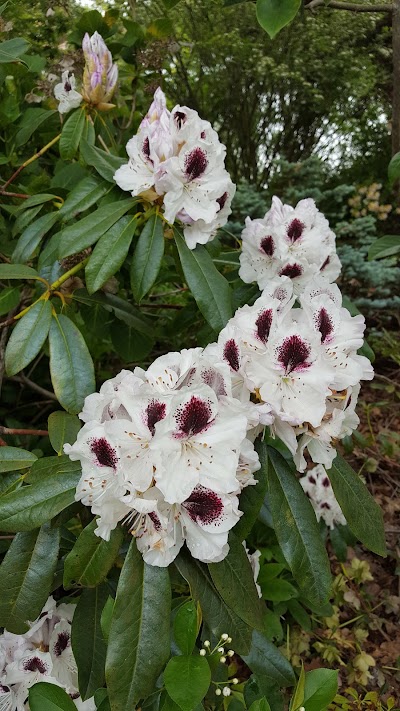 Photos of Red Cow Farm Garden