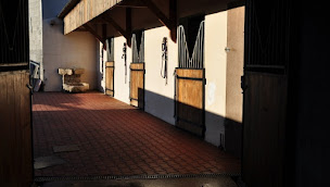Photo n°1 de LES CHEVAUX DU RAJAL à La Bastide-Pradines (Centre équestre)