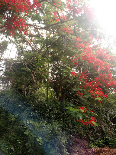 Centro Judicial de Cabo Rojo - Thumbnail