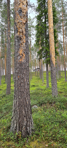 Berglund Bodstugan - Thumbnail