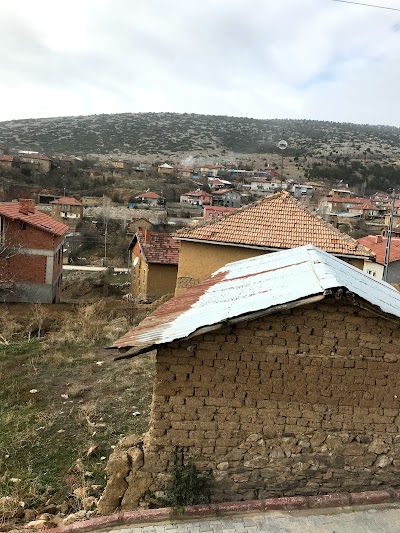 Gocerı İlkokulu