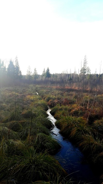 Photos of Vainagių pažintinis takas