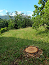 Photo n°2 de Arbor Apex à Arbois (Arboriste)