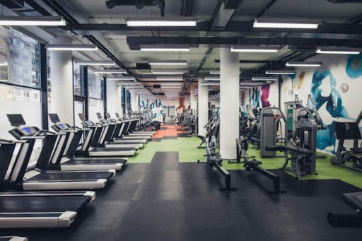 Best Gym Equipment Wholesaler in Delhi NCR post image