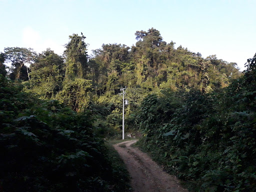 Reserva Ecologica San Felipe II - Thumbnail