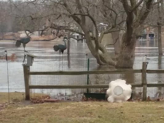 Latham Park - Image 3
